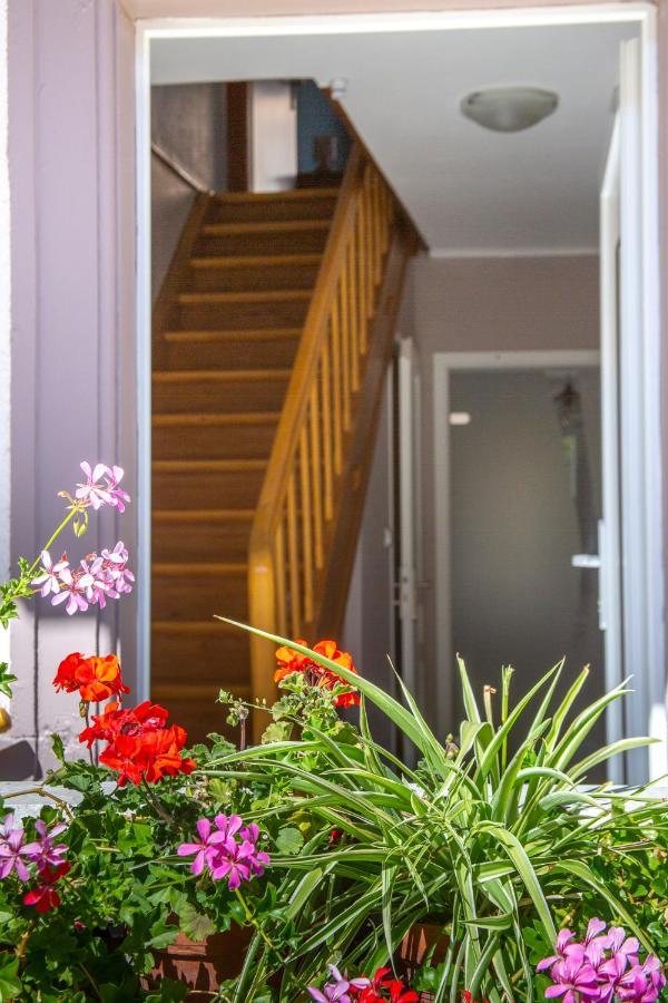 MA ROSE DES LUMIERES maison indépendante 6 personnes avec grande cour Griesheim-près-Molsheim Exterior foto